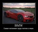 Фотография Островского Ильи
