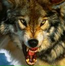 Фотография Бакшеева Кирилла