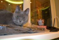 Фотография Smirnov Pavel