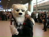 Фотография  