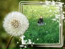 Фотография Муллагалиевой Айгуль