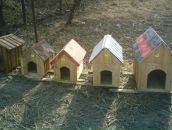 Олег Радзієвський фотография #15 (источник - https://vk.com/id133248038)