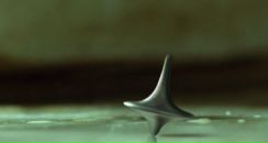 Александр Ермаков фотография #10 (источник - https://vk.com/id4689727)