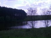 Ольга Стаднічук фотография #24 (источник - https://vk.com/id64419232)