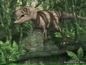 Robert Dolinger фотография #1