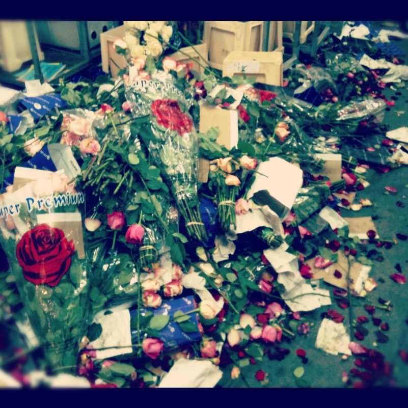 Сережа Сыроежкин фотография #32