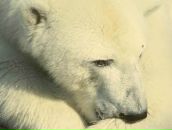 Фотография Церковной Надежды