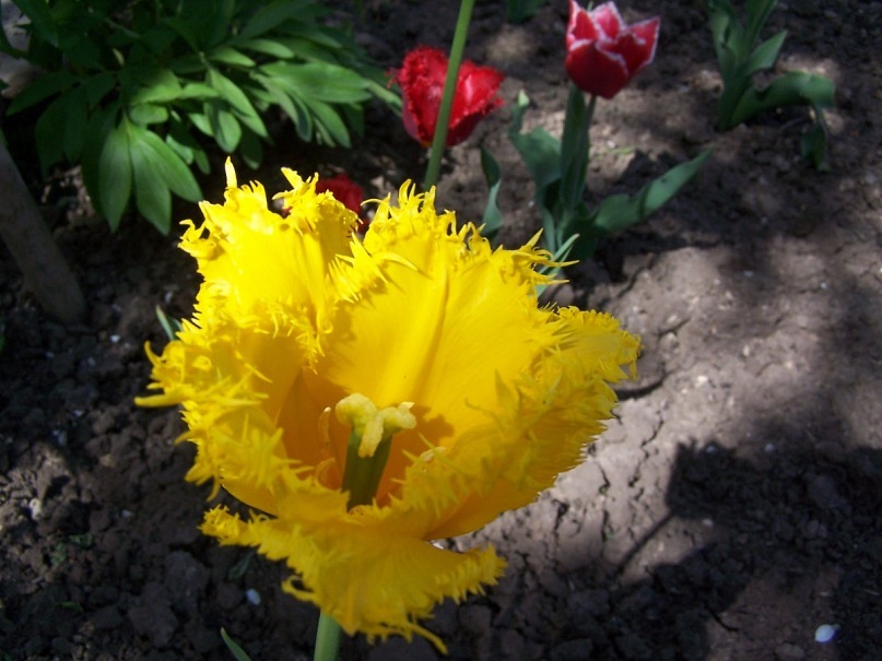 Сергей Калиниченко фотография #37