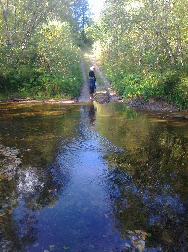 Young Lady фотография #40