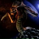 Фотография Федосеева Виктория