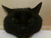 Фотография Баранова Анатолия