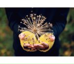 Фотография Керберг Марины