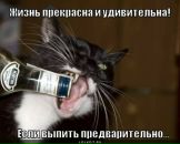 Ирчик Гриценко фотография #18 (источник - https://vk.com/id67547697)