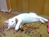 Фотография Попович Катюшки