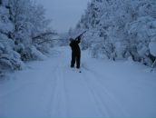 Фотография Лисицыной Елены