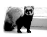 Фотография Васильев Дима