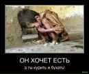 Петя Петин фотография #46 (источник - https://vk.com/id214173721)