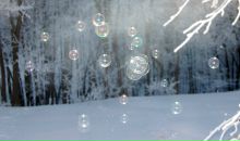 Михаил Яковлев фотография #28 (источник - https://vk.com/id2403530)