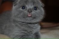 Фотография Даниловой Елены