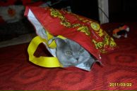 Фотография Ажене Дарьи