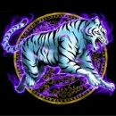 Юра Вітязь фотография #4 (источник - https://vk.com/id133434748)