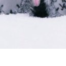 Марія Юськевич фотография #35 (источник - https://vk.com/id76562134)