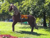 Ольга Мацьків фотография #21 (источник - https://vk.com/id8334654)