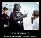 Фотография Мякоты Владимира