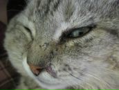 Фотография Ефимовой Дарьи