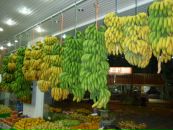 Kenan İlhan фотография #39 (источник - https://vk.com/id89807419)