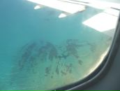 Фотография Чирвонова Павла