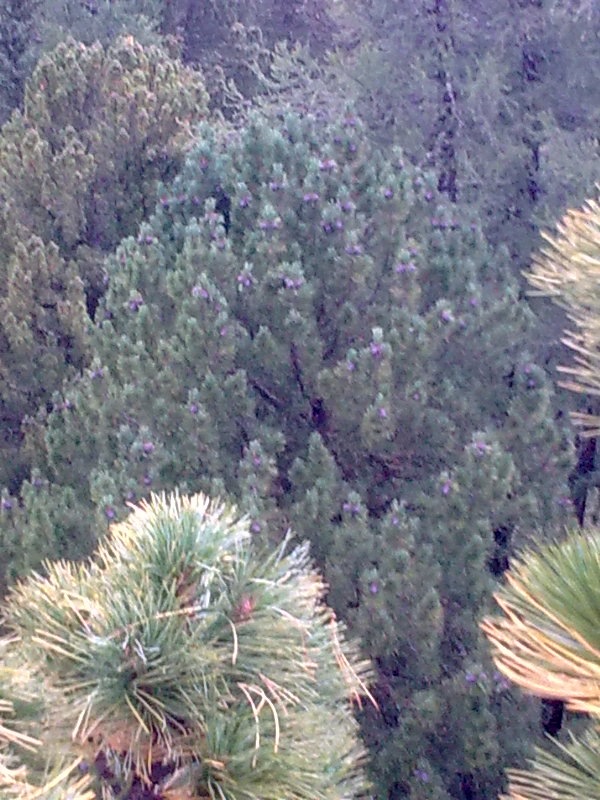 Сергей Плугарь фотография #27