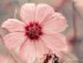 Віктор Скольський фотография #47 (источник - https://vk.com/id42954583)