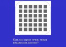 Міша Янішевський фотография #46 (источник - https://vk.com/id53941087)