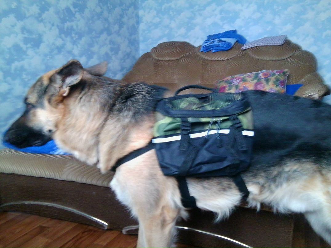 Андрей Кубышкин фотография #43