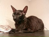 Фотография Кузнецовой Елены