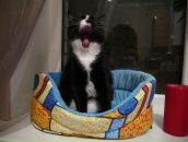 Фотография Захаровой Полины