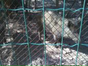 Володимир Павлік фотография #28 (источник - https://vk.com/id140487540)