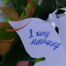 Мария Талалаева фотография #24 (источник - https://vk.com/id53978)