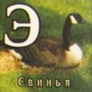 Фотография Романовой Евгении