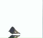 Фотография Виноградова Олега