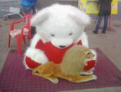 Мах Kisel фотография #29 (источник - https://vk.com/id23426737)