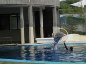 Надя Кіданецька фотография #9 (источник - https://vk.com/id103553217)