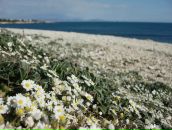 Фотография Aftaeva Mariya