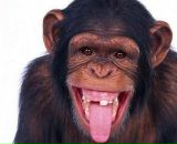 Фотография Golubeva Anna