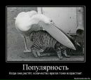 Андрій Ящук фотография #47 (источник - https://vk.com/id103615698)