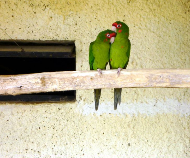 №4, Лариса Дергилёва, 41 год №4, Лариса Дергилёва, 41 год