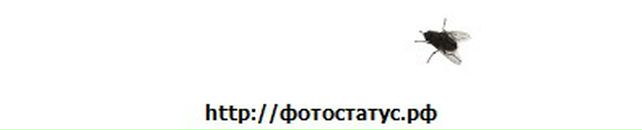 Саша Петрівська фотография #8 (источник - https://vk.com/id89103770)