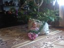 Іван Курудз фотография #8 (источник - https://vk.com/id151557699)