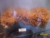 Юрій Сорбат фотография #20 (источник - https://vk.com/id8838108)